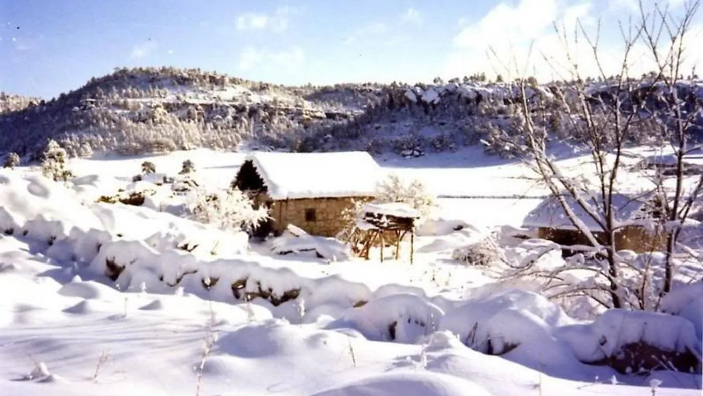❄️ Invierno en Creel y Barrancas del Cobre
